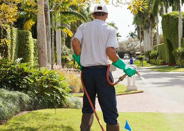 About Mokelumne Hill CA Pest Control